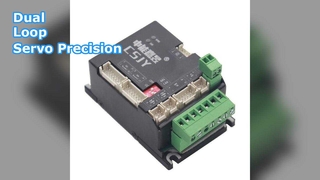 Driver servo putaran ganda